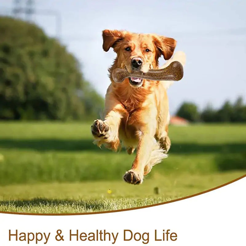 Dog Tough Bone Chew Toy